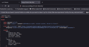 view page source to find some interesting for pentesting